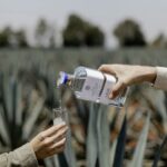 lalo-tequila-blanco